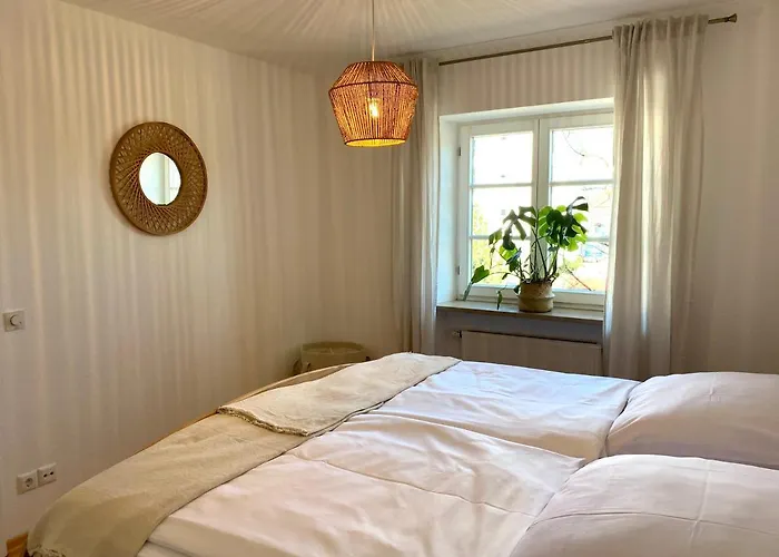 Best Butler Boho Boutique City Apartment Netflix